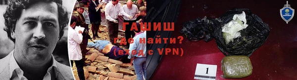 СК Бронницы