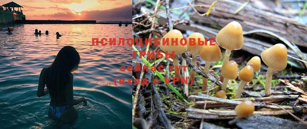 первитин Богородицк