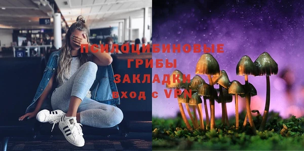 первитин Богородицк