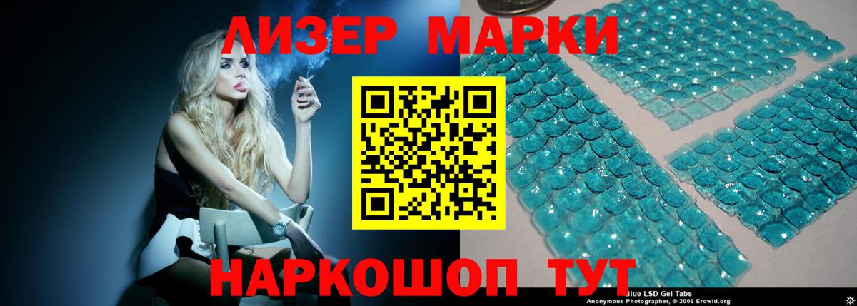 Галлюциногенные грибы Губкинский