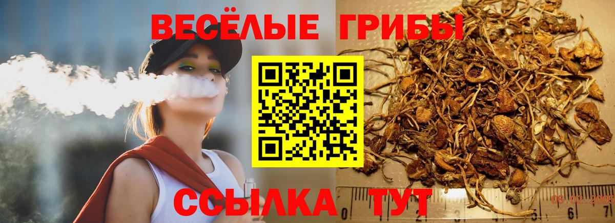 Галлюциногенные грибы мухоморы Губкинский