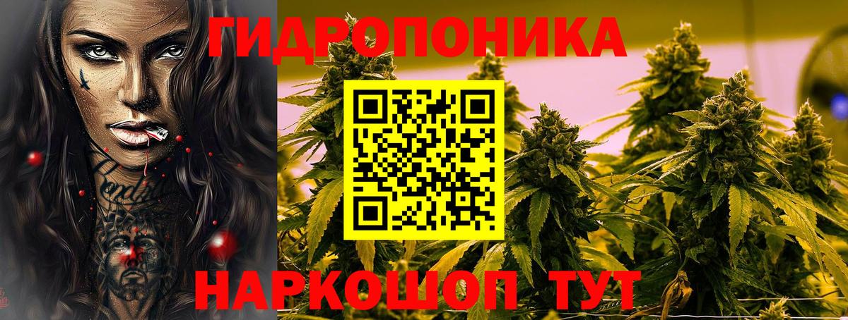 Шишки марихуана VHQ Губкинский